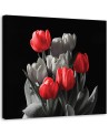 Bouquet of red tulips - Canvas print modern | FEEBY