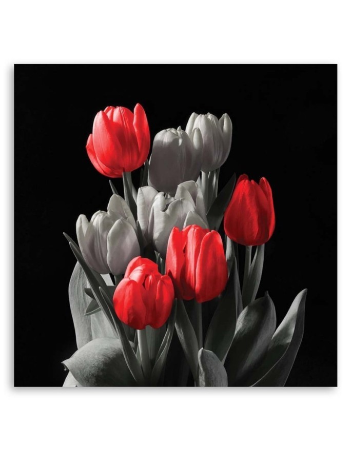 Bouquet of red tulips - Canvas print modern | FEEBY