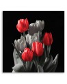 Bouquet of red tulips - Canvas print modern | FEEBY