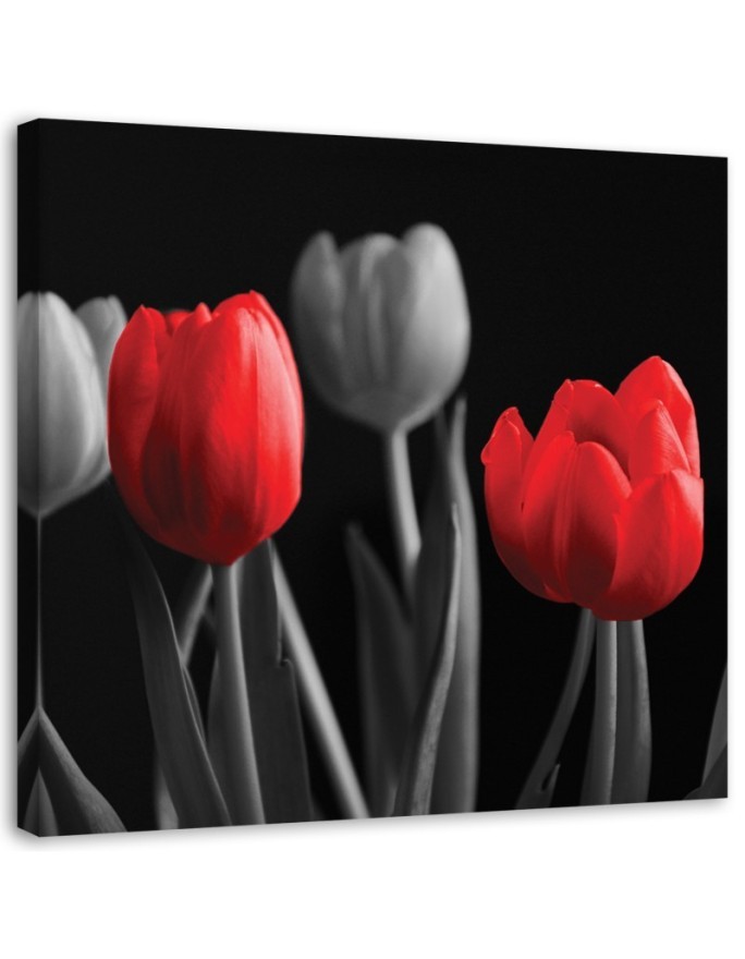 Red tulips - Canvas print | FEEBY