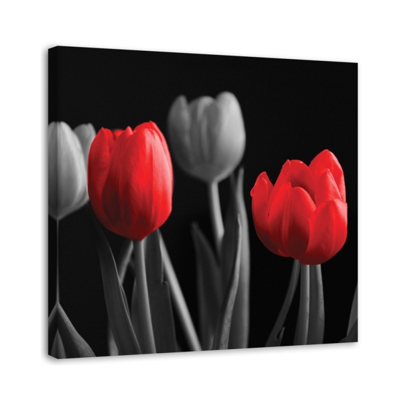 Red tulips - Canvas print | FEEBY