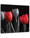 Red tulips - Canvas print | FEEBY