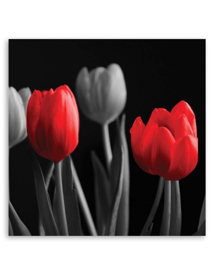 Red tulips - Canvas print | FEEBY
