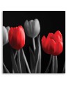 Red tulips - Canvas print | FEEBY