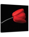Red tulip flower - Modern Canvas painting for living room | FEEBY