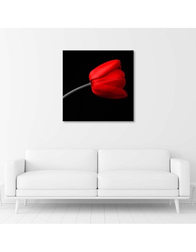Red tulip flower - Modern Canvas painting for living room | FEEBY