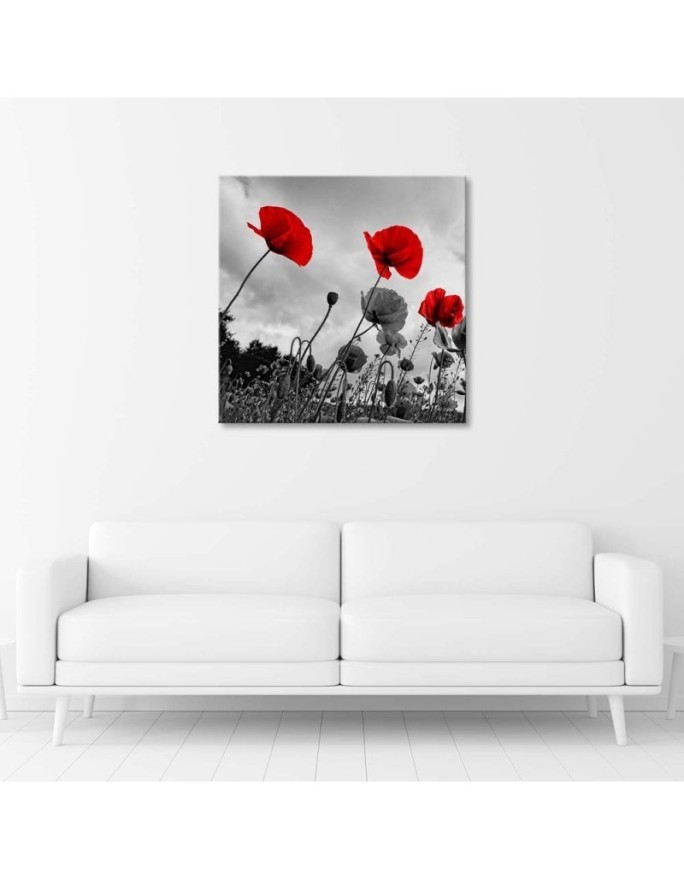Canvas prints for living room - Poppy flowers in a meadow. Buy now | FEEBY