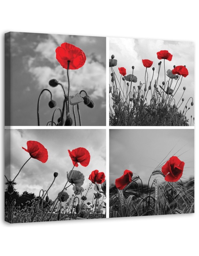 Canvas print Red poppies