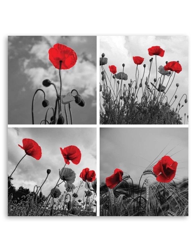 Canvas painting - Red poppies | FEEBY