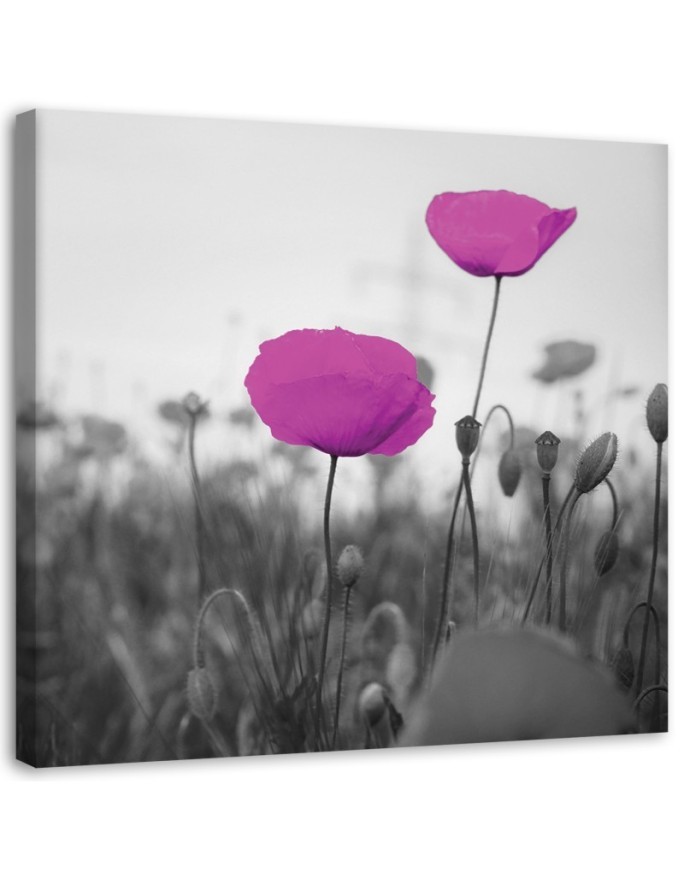Modern bedroom Canvas painting - Purple poppies in a meadow | FEEBY
