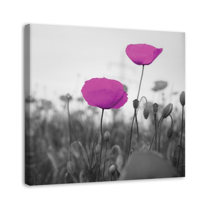 Modern bedroom Canvas painting - Purple poppies in a meadow | FEEBY