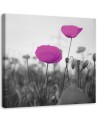 Modern bedroom Canvas painting - Purple poppies in a meadow | FEEBY
