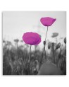 Modern bedroom Canvas painting - Purple poppies in a meadow | FEEBY