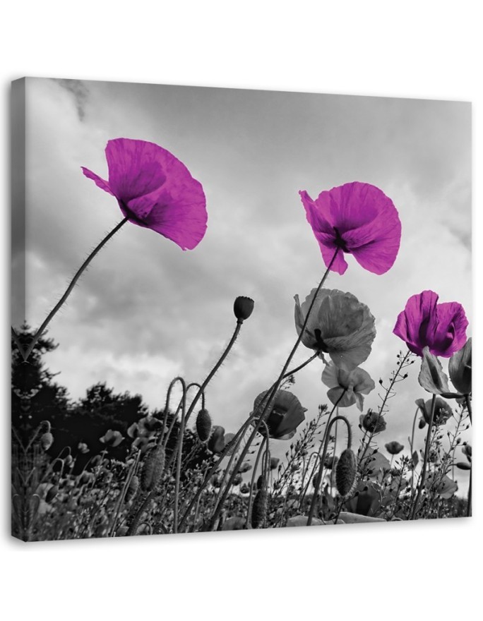 Canvas painting for living room - Purple poppy flowers | FEEBY