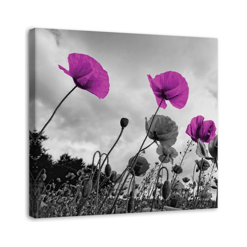 Canvas painting for living room - Purple poppy flowers | FEEBY
