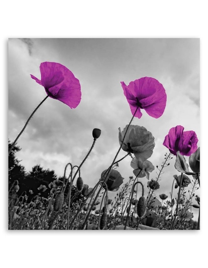 Canvas painting for living room - Purple poppy flowers | FEEBY