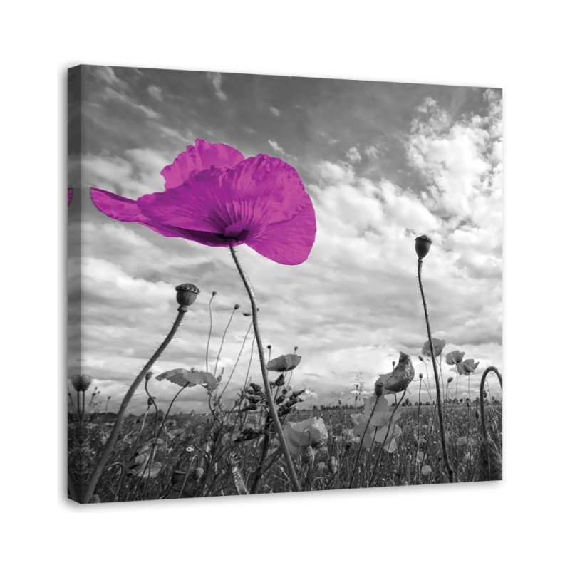 Canvas print modern - Purple poppies | FEEBY