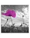 Canvas print modern - Purple poppies | FEEBY
