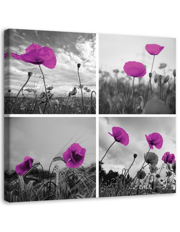 Canvas print Purple poppies