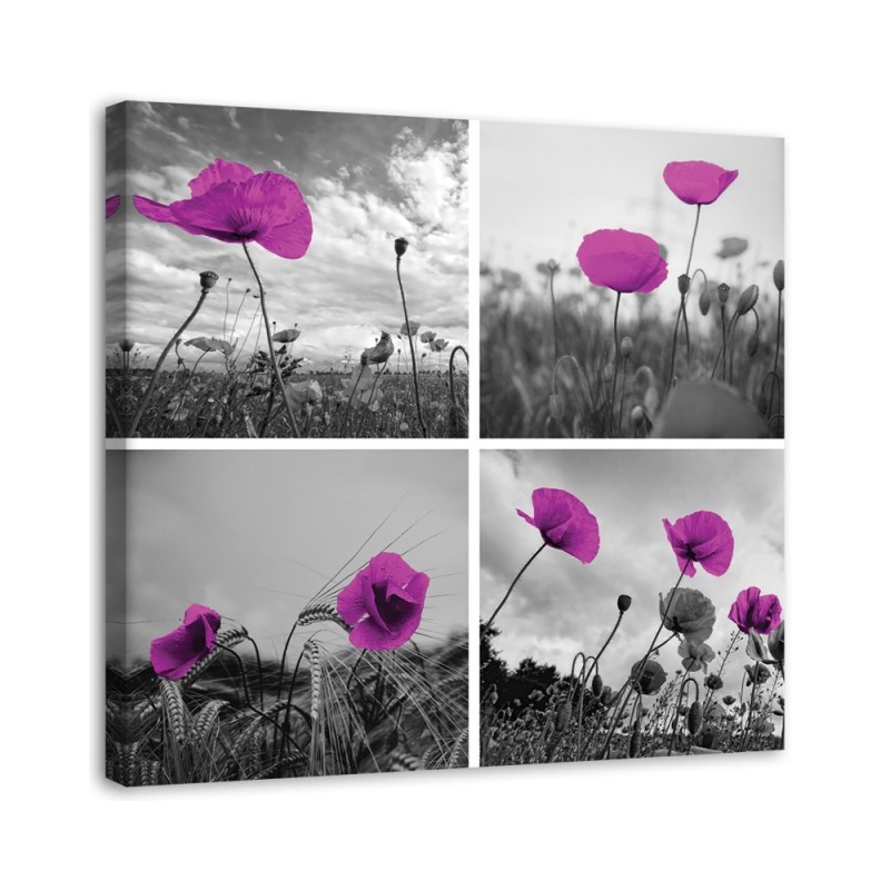 Canvas print - Purple poppies | FEEBY