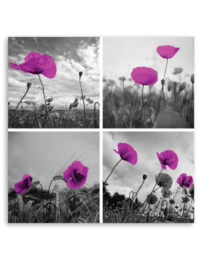 Canvas print - Purple poppies | FEEBY