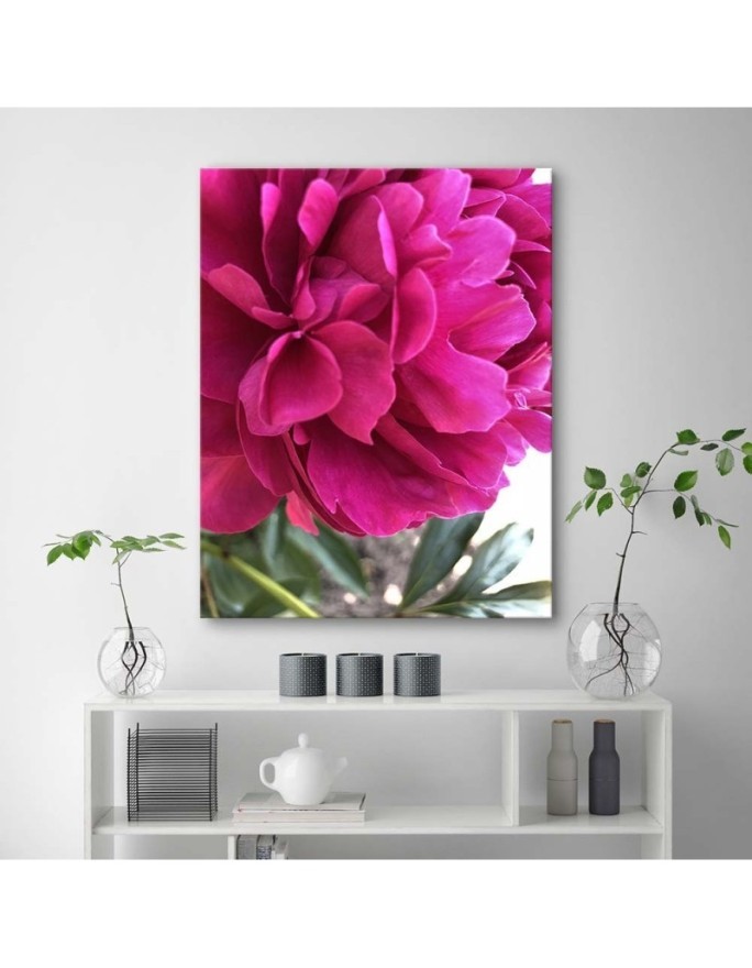 Canvas print - Pink peony | FEEBY