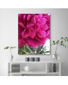 Canvas print - Pink peony | FEEBY