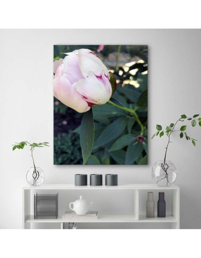 Modern Canvas painting for living room - Pink peony flower | FEEBY