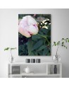 Modern Canvas painting for living room - Pink peony flower | FEEBY