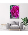Canvas prints for living room - Flowering peony | FEEBY