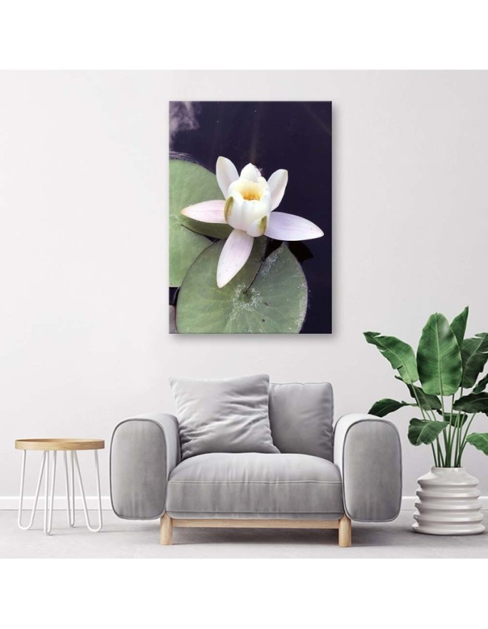Canvas prints for living room - Water lily | FEEBY