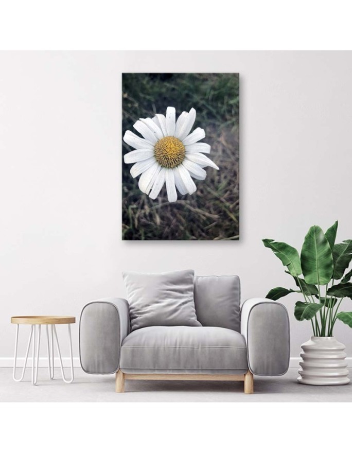Canvas painting - Chamomile Flower | FEEBY