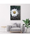 Canvas painting - Chamomile Flower | FEEBY