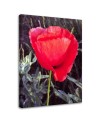 Modern Canvas painting for bedroom - Red poppy | FEEBY