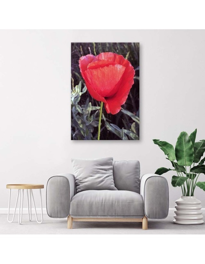 Modern Canvas painting for bedroom - Red poppy | FEEBY