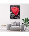 Modern Canvas painting for bedroom - Red poppy | FEEBY