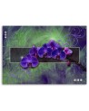 Orchid in purple - Pictures on Canvas for the living room | FEEBY