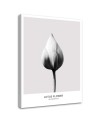 White lotus bud - Modern Canvas painting for the bedroom | FEEBY