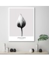 White lotus bud - Modern Canvas painting for the bedroom | FEEBY