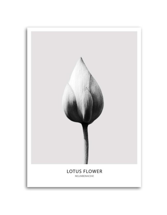 White lotus bud - Modern Canvas painting for the bedroom | FEEBY