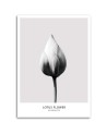 White lotus bud - Modern Canvas painting for the bedroom | FEEBY