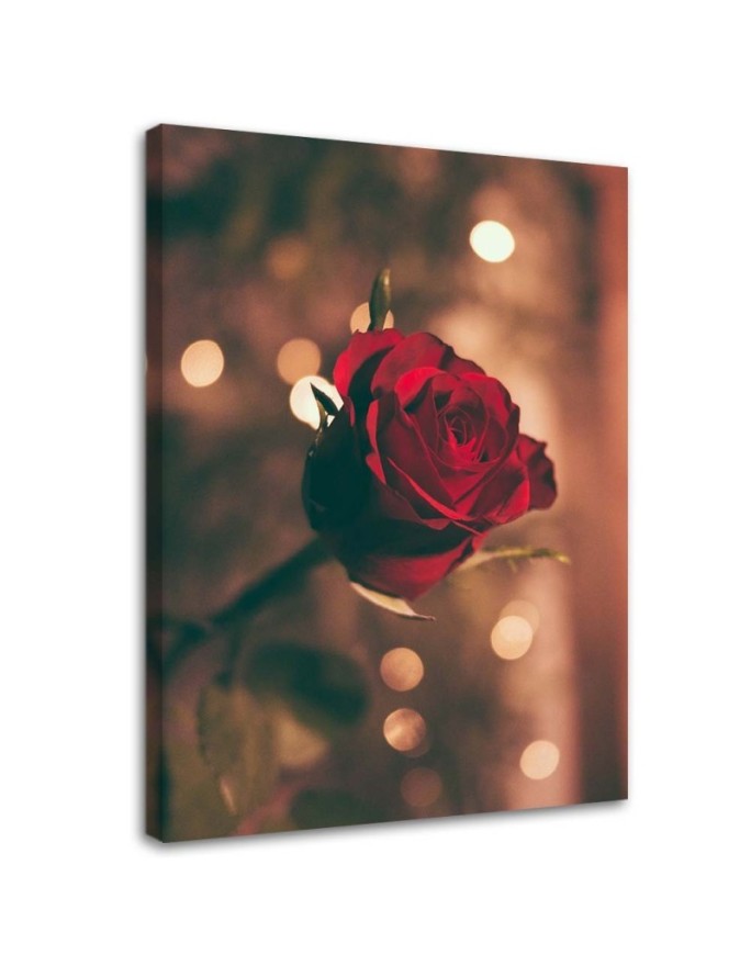 Canvas print Red rose blossom