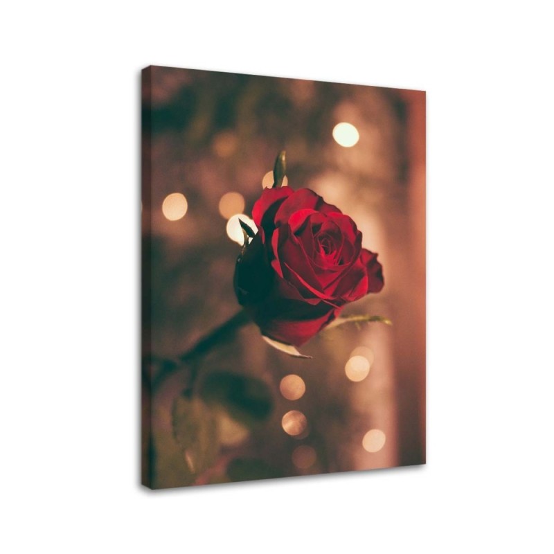 Red rose flower - Canvas painting for living room | FEEBY