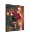 Red rose flower - Canvas painting for living room | FEEBY