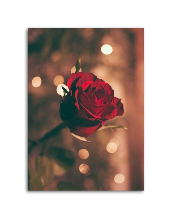 Red rose flower - Canvas painting for living room | FEEBY