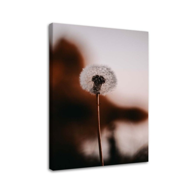 A lone Dandelion - Canvas print modern | FEEBY