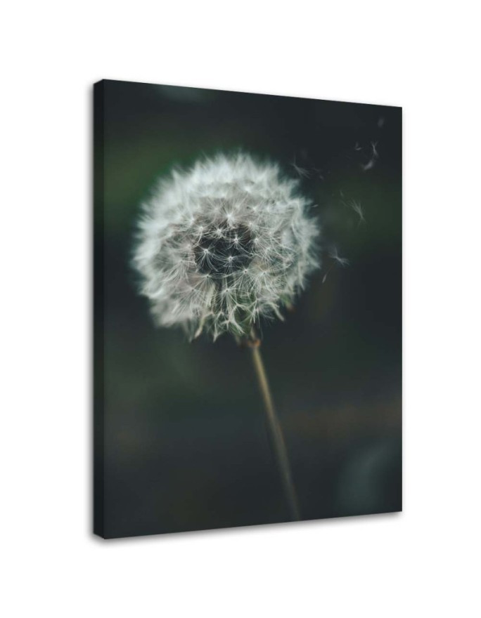 Dandelion in the wind - Canvas print | FEEBY