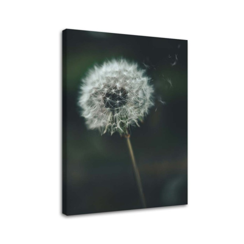 Dandelion in the wind - Canvas print | FEEBY