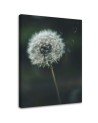 Dandelion in the wind - Canvas print | FEEBY