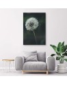 Dandelion in the wind - Canvas print | FEEBY